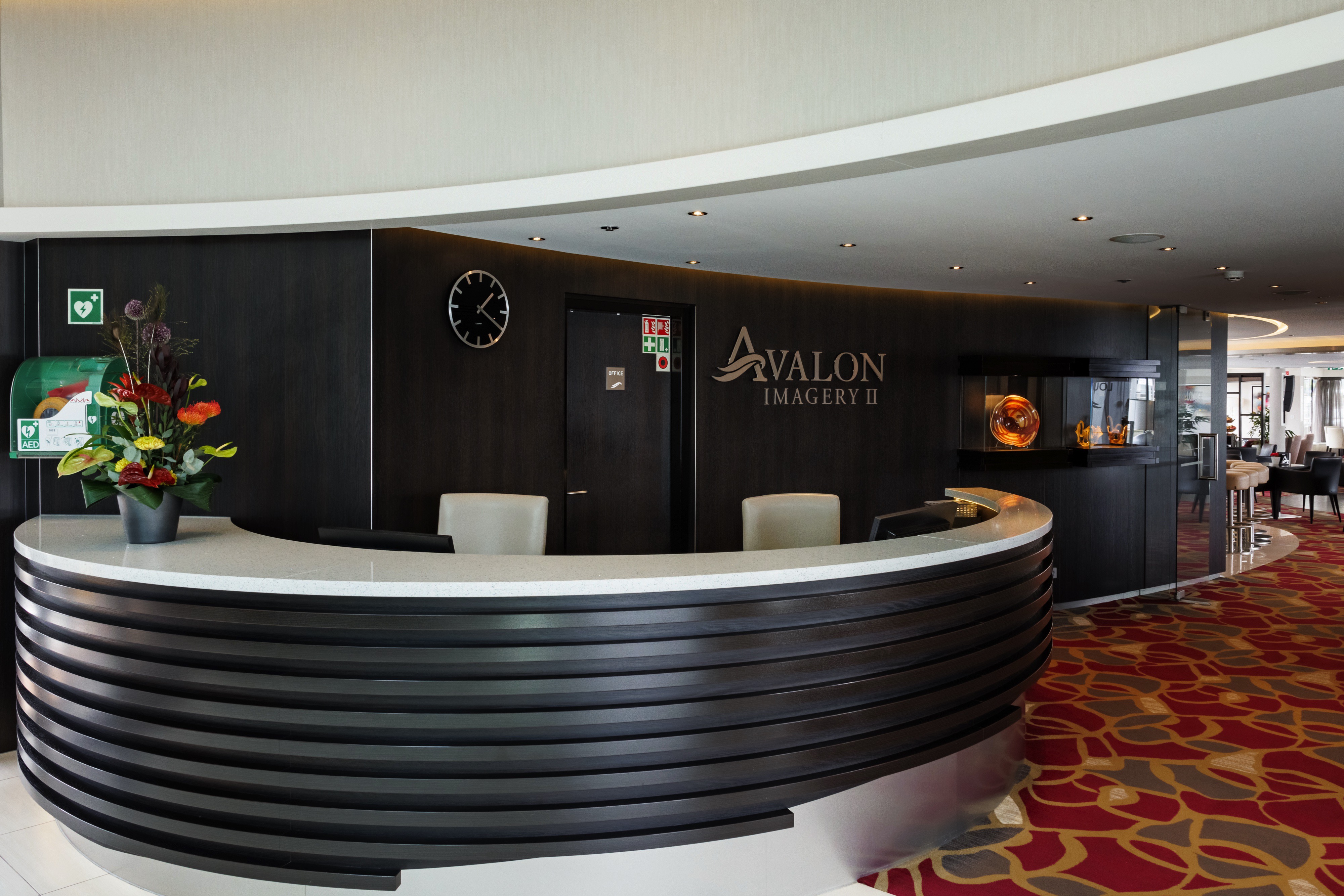 Avalon Imagery II - Reception